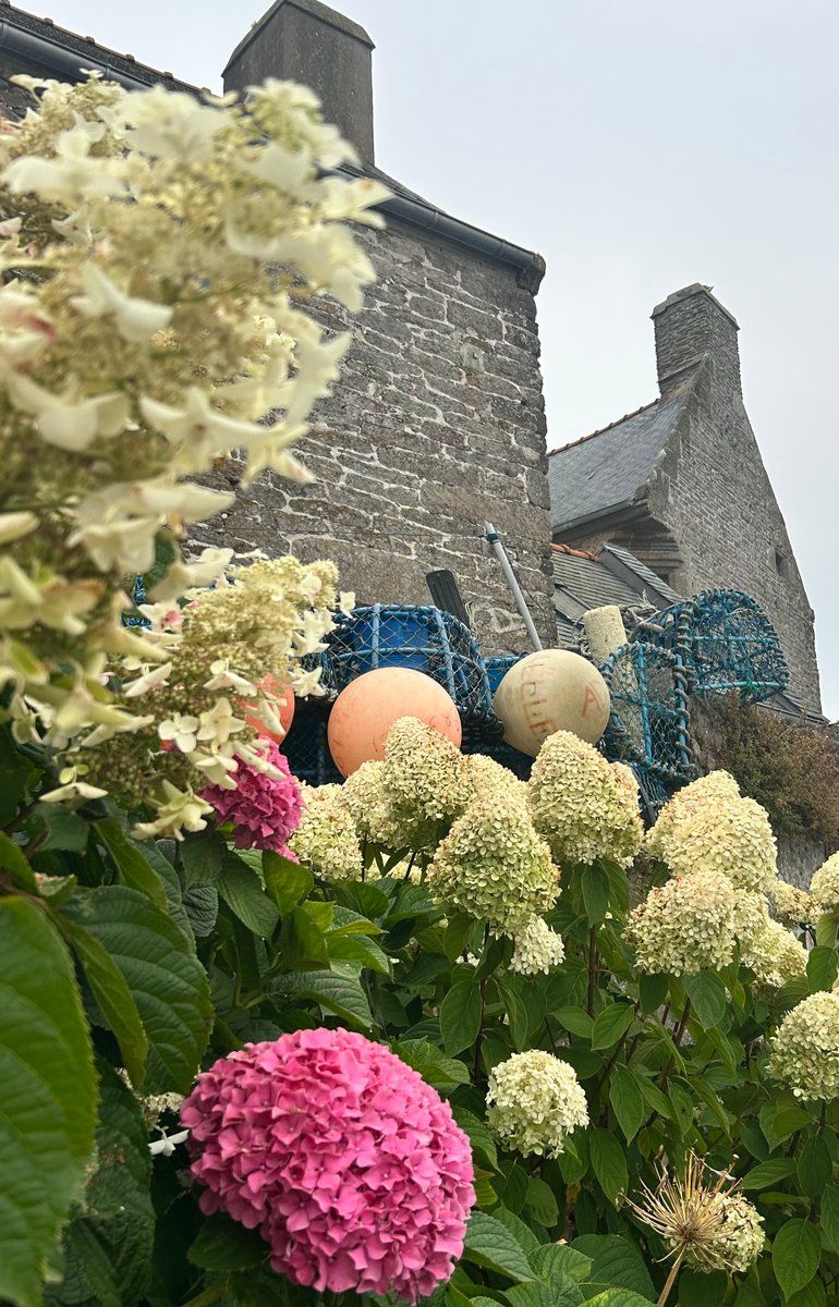 Jour de pluie au Conquet ☂️ 