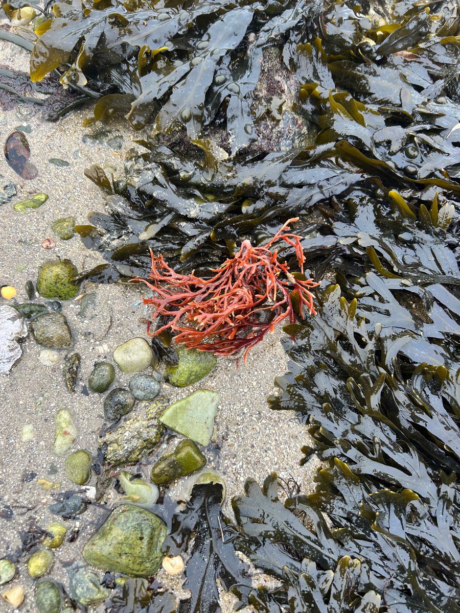 Aaaaaaah la Ria! 🤩