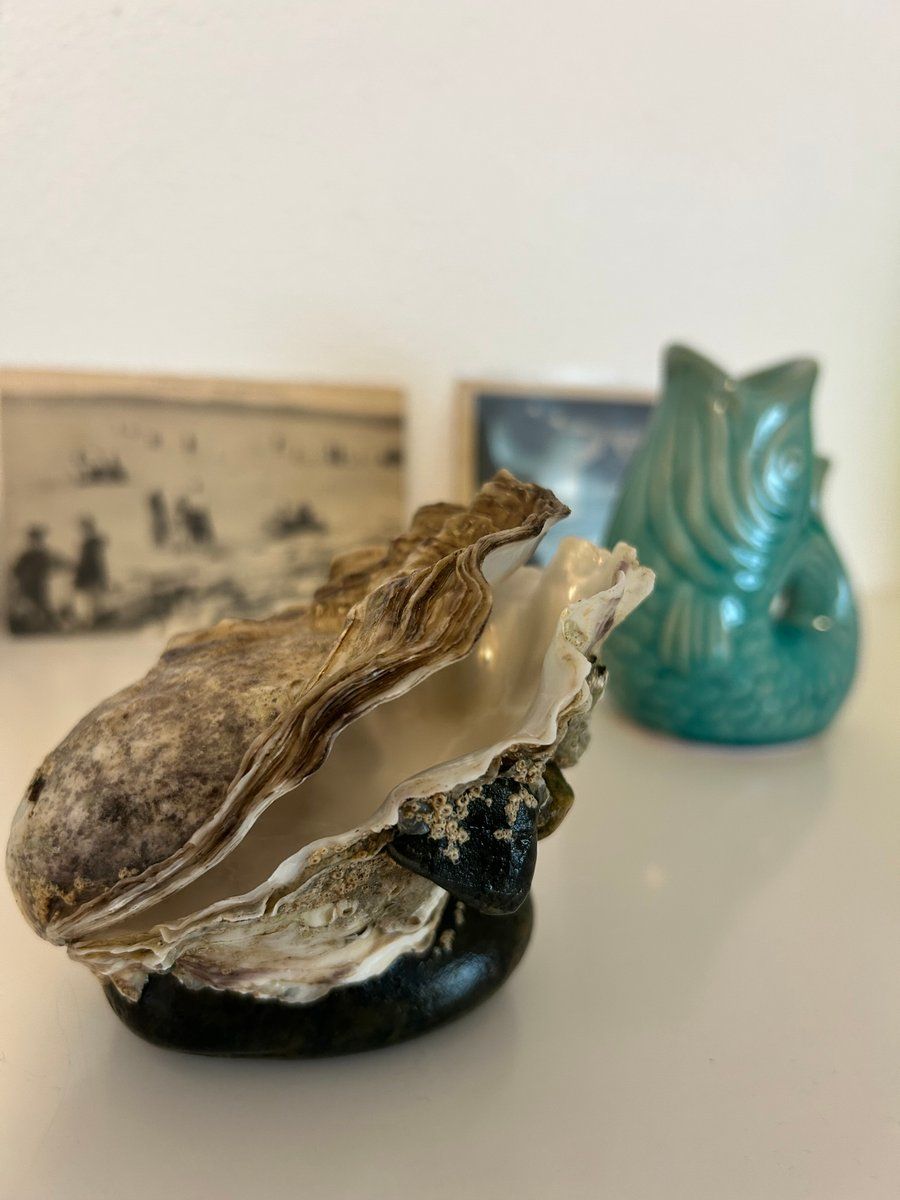 Notre nid 🪺 du Conquet 